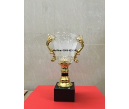 Cúp kim loại B21