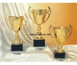 Cúp kim loại T105