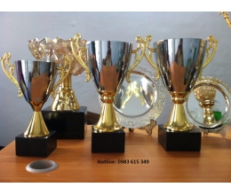 Cúp kim loại T146