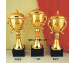 Cúp kim loại T66