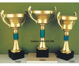 Cúp kim loại T69