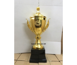 Cúp kim loại T853