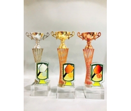 Cúp pickleball đẹp 19