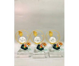 Cúp pickleball đẹp 11