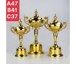 Cup thể thao 031