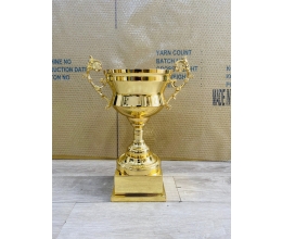 Cup thể thao 033