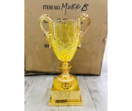 Cup thể thao 046