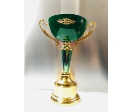 Cup thể thao 049