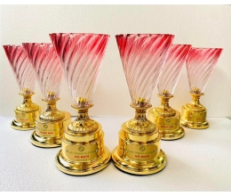 Cup thể thao 053