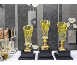 Cup thể thao 056