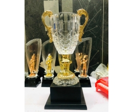 Cup thể thao 058