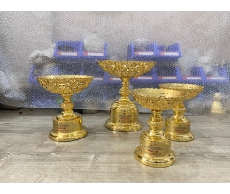 Cup thể thao 059