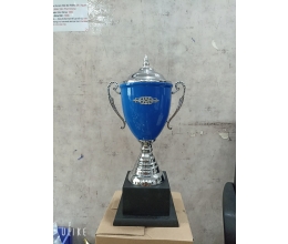 Cup thể thao 010