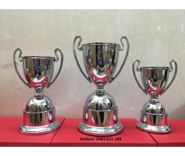 Cúp kim loại F104