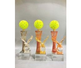 Cúp pickleball 02