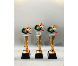 Cúp pickleball 03