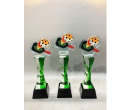 Cúp pickleball 04