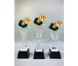 Cúp pickleball 05