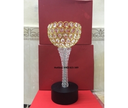 Cup thể thao 048
