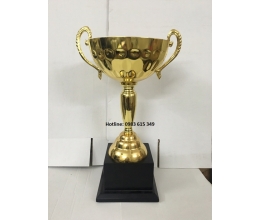 Cúp kim loại T116
